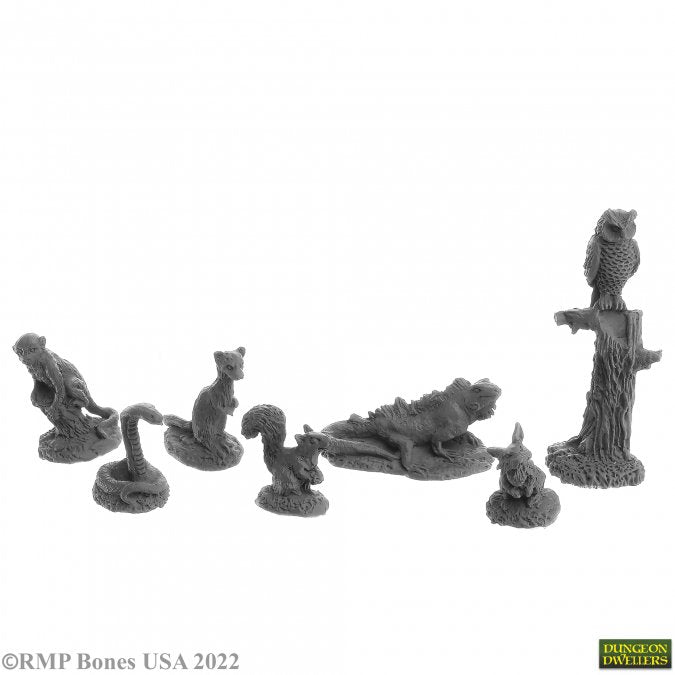 Dungeon Dwellers 07049 Familiar Pack 2 | Grognard Games