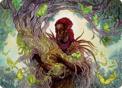 Circle of Dreams Druid Art Card [Dungeons & Dragons: Adventures in the Forgotten Realms Art Series] | Grognard Games