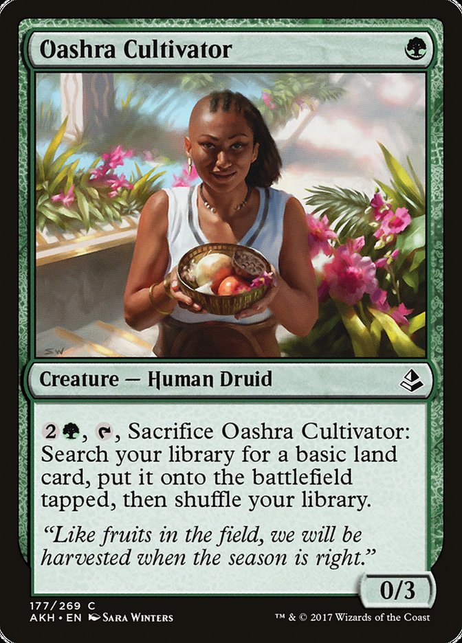 Oashra Cultivator [Amonkhet] | Grognard Games