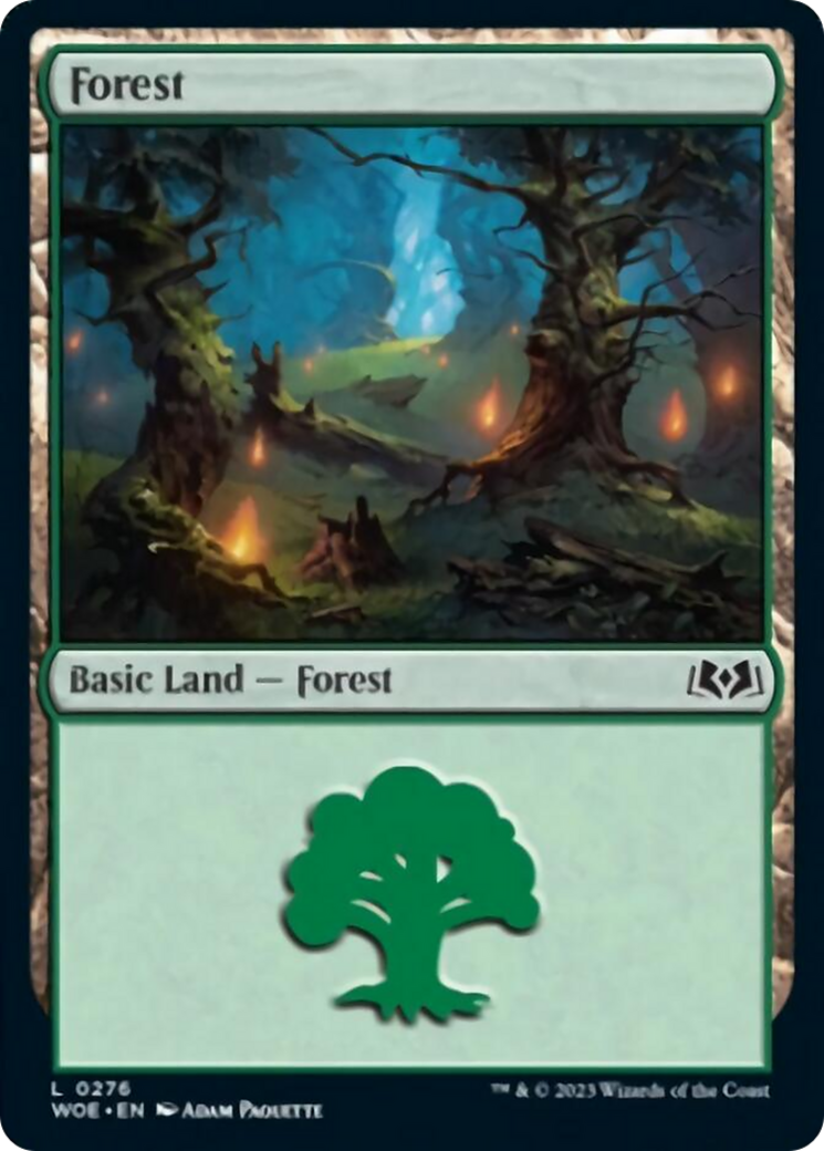 Forest (0276) [Wilds of Eldraine] | Grognard Games