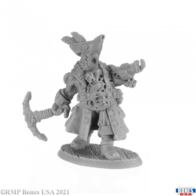 Bones 30039 Reaper Bones Captain Barty Redd | Grognard Games