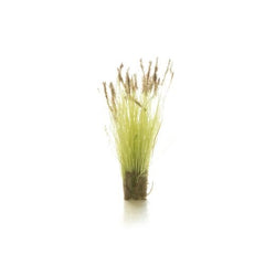 Woodland Scenics Prairie Grass: Brown Tipped | Grognard Games