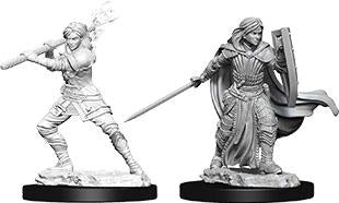 WizKids 738306 Human Paladin | Grognard Games