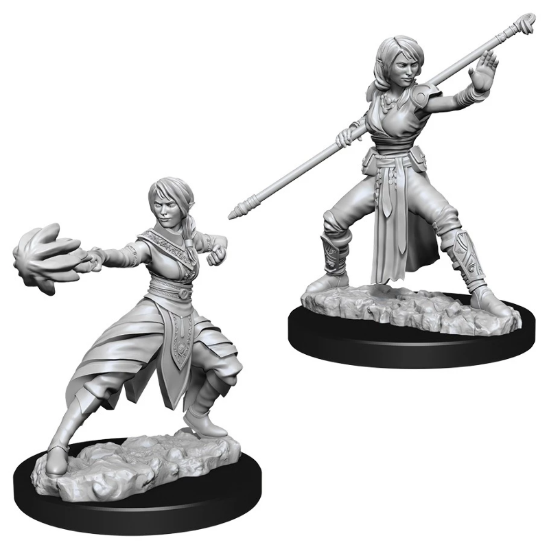 WizKids 738399 Half Elf Monk | Grognard Games