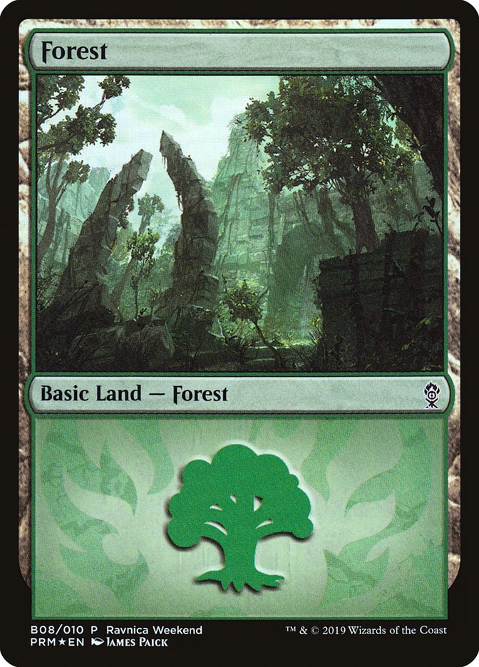 Forest (B08) [Ravnica Allegiance Guild Kit] | Grognard Games