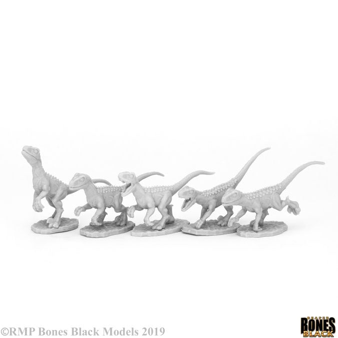 Bones 44081 Raptor Hunting Pack (5) | Grognard Games