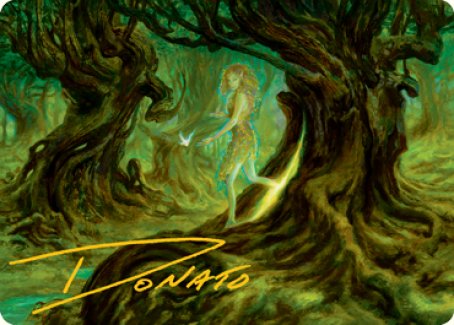 Neverwinter Dryad Art Card (Gold-Stamped Signature) [Dungeons & Dragons: Adventures in the Forgotten Realms Art Series] | Grognard Games