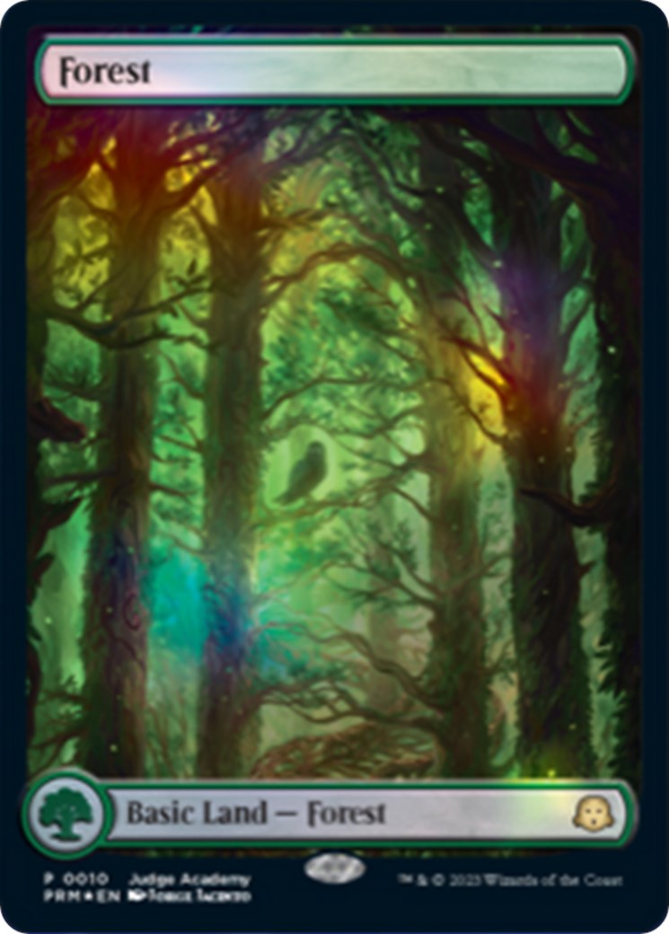 Forest [Judge Gift Cards 2023] | Grognard Games