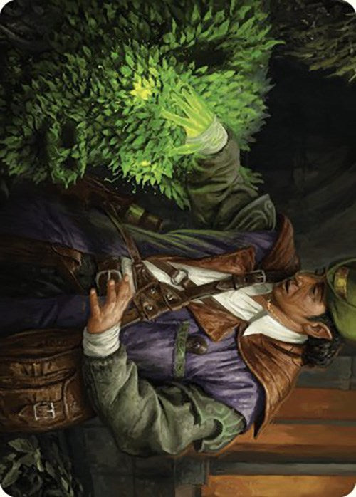 Hedge Whisperer Art Card [Murders at Karlov Manor Art Series] | Grognard Games