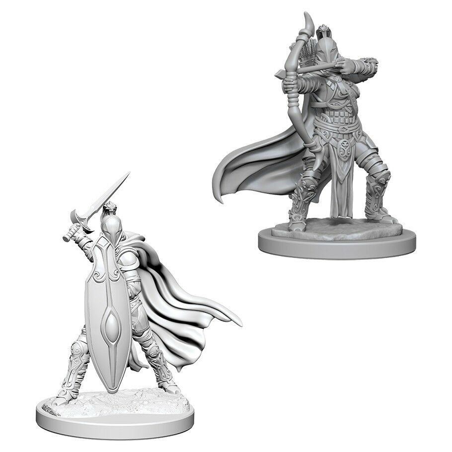Wizkids 734254 Female Knights/Grey Maidens | Grognard Games