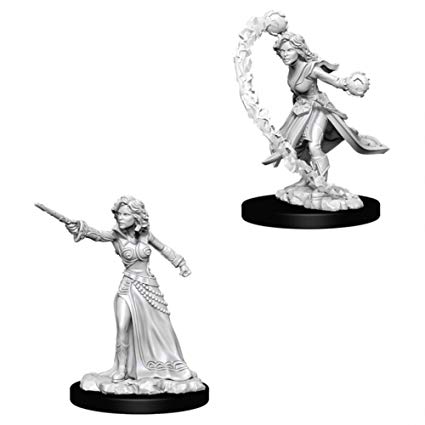 Wizkids 734124 Female Human Wizard | Grognard Games