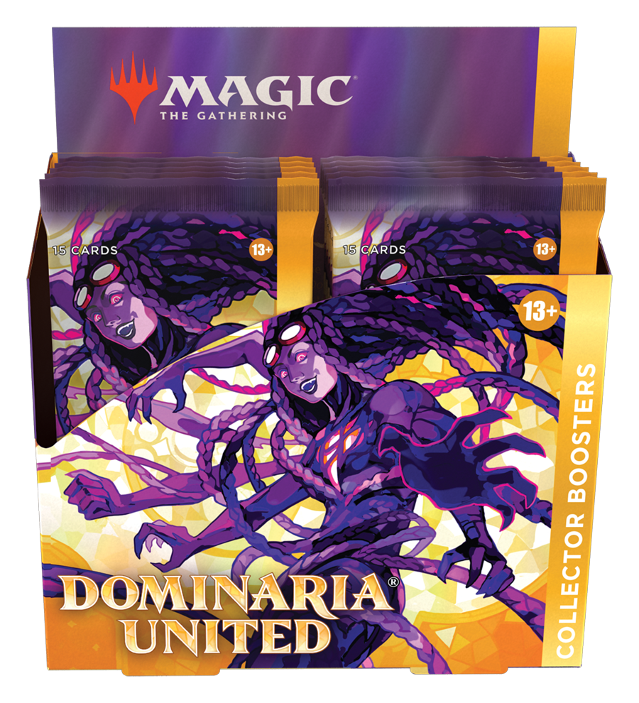 Dominaria United - Collector Booster Display | Grognard Games