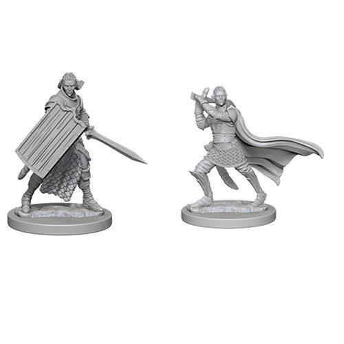 WizKids 726082 Elf Male Paladin | Grognard Games