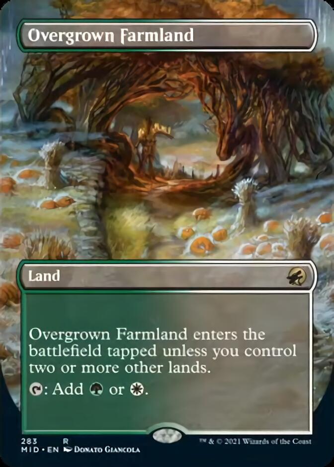 Overgrown Farmland (Borderless) [Innistrad: Midnight Hunt] | Grognard Games