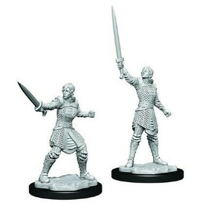 Wizkids 903865 Human Dwendalian Empire Fighter | Grognard Games