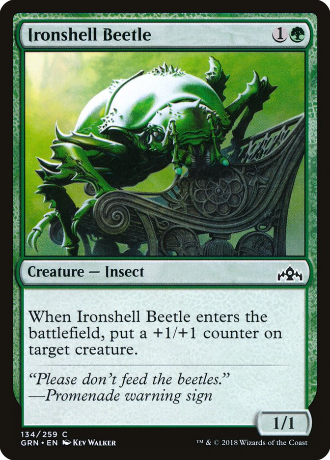 Ironshell Beetle [Guilds of Ravnica] | Grognard Games