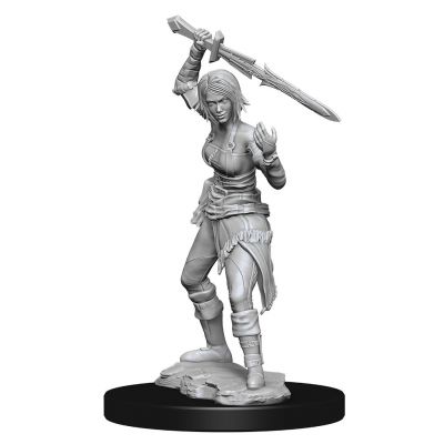 WizKids 902745 Nahiri | Grognard Games