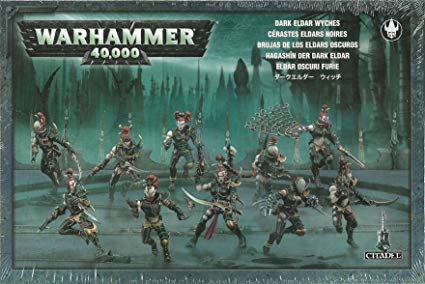 Drukhari Wyches | Grognard Games