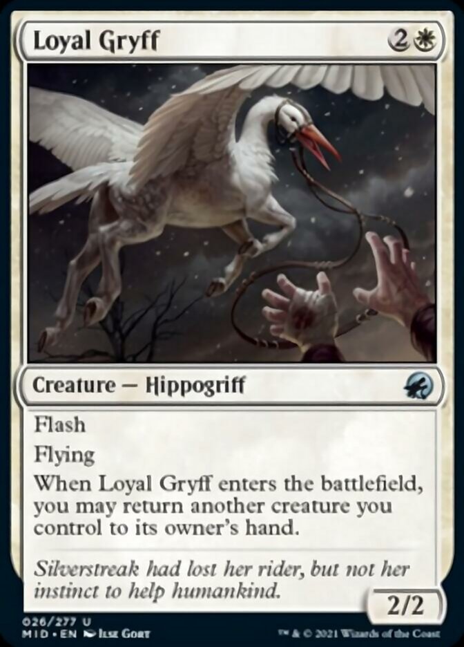 Loyal Gryff [Innistrad: Midnight Hunt] | Grognard Games