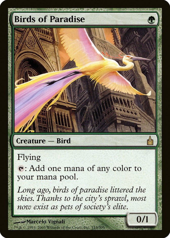 Birds of Paradise [Ravnica: City of Guilds] | Grognard Games