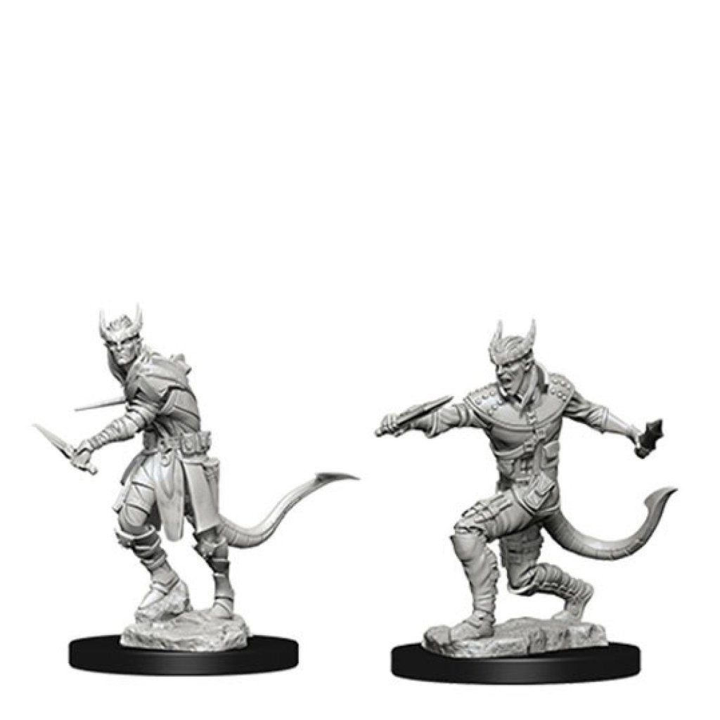 WizKids 733387 Male Tiefling Rogue | Grognard Games