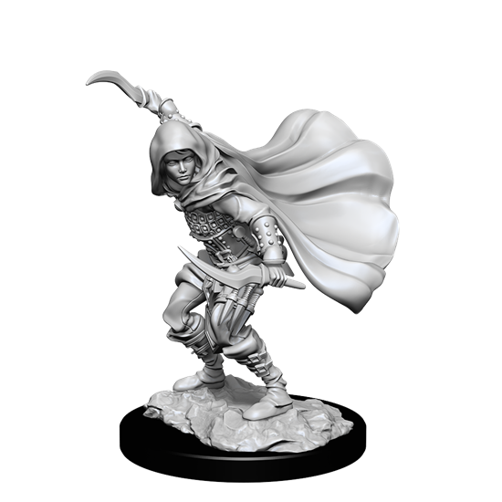 WizKids 902691 Female Human Rogue | Grognard Games