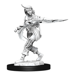 WizKids 902691 Female Human Rogue | Grognard Games