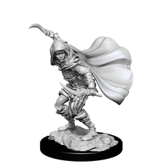 WizKids 902691 Female Human Rogue | Grognard Games