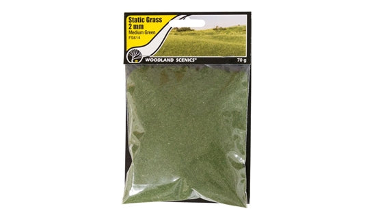 Woodland Scenics Static Grass 2mm Medium Green | Grognard Games