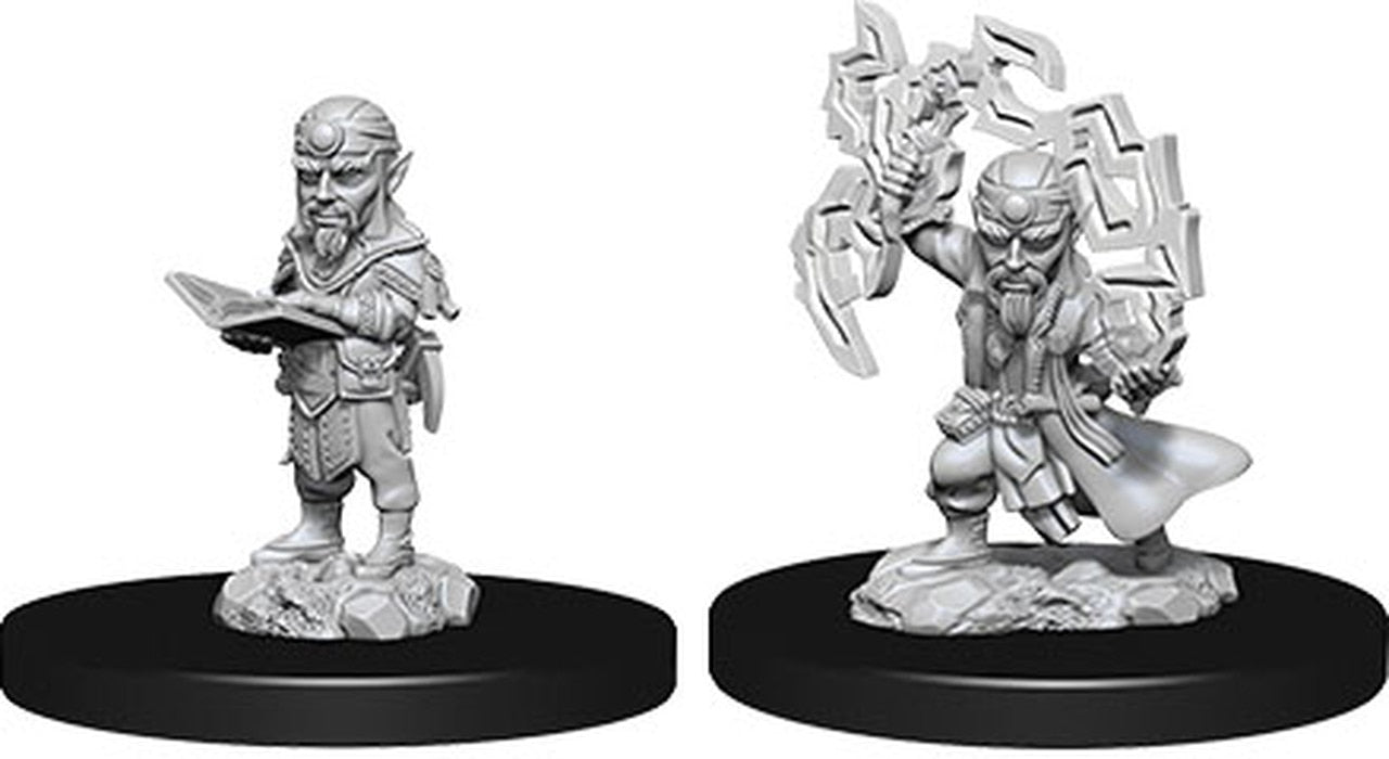 WizKids 737224 Pathfinder Male Gnome Scorcerer | Grognard Games