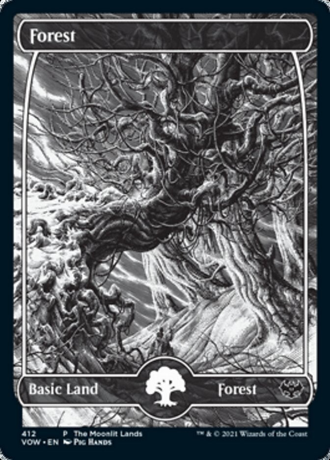 Forest (The Moonlit Lands) (Foil Etched) [Innistrad: Crimson Vow Promos] | Grognard Games