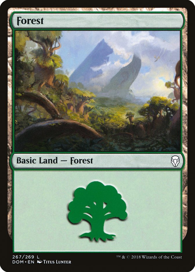Forest (267) [Dominaria] | Grognard Games