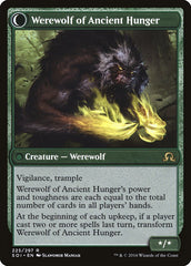 Sage of Ancient Lore // Werewolf of Ancient Hunger [Shadows over Innistrad] | Grognard Games
