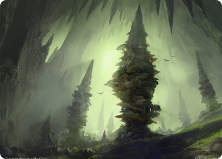 Forest (280) Art Card [Dungeons & Dragons: Adventures in the Forgotten Realms Art Series] | Grognard Games