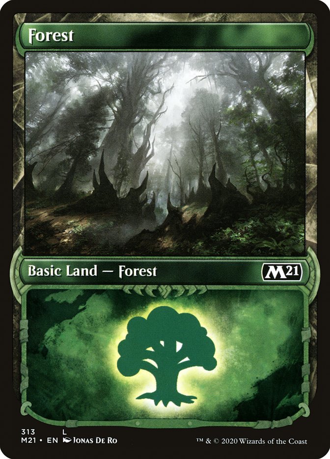 Forest (313) (Showcase) [Core Set 2021] | Grognard Games