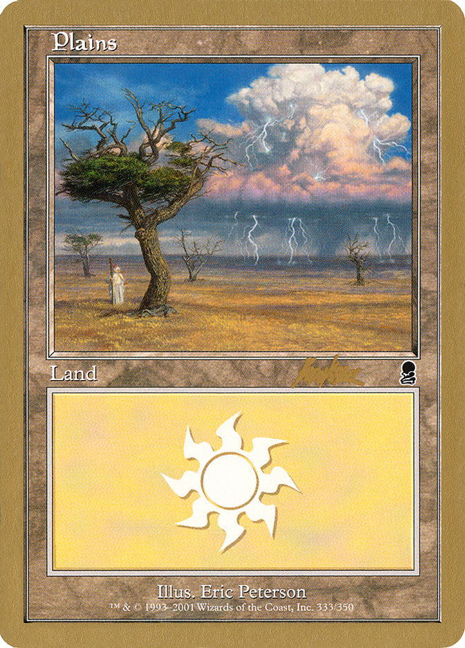 Plains (bk333) (Brian Kibler) [World Championship Decks 2002] | Grognard Games