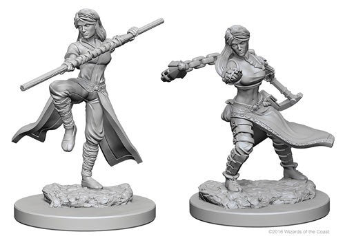 WizKids 726341 Human Monk female | Grognard Games