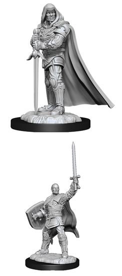 Wizkids 901366 Human Paladin | Grognard Games