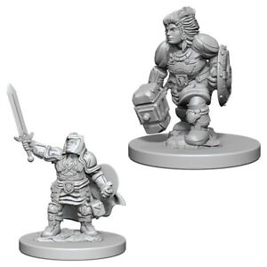 WizKids 726310 Dwarf Paladin FEMALE | Grognard Games