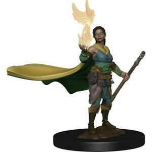 WizKids 930038 NMM Premium Female Elf Druid | Grognard Games