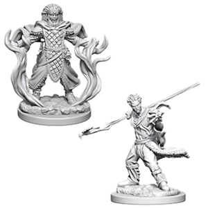 WizKids 726396 Nolzur's Male Human Druid | Grognard Games