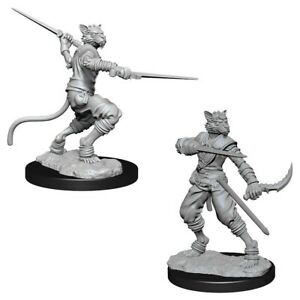 WizKids 735404 Tabaxi Rogue | Grognard Games