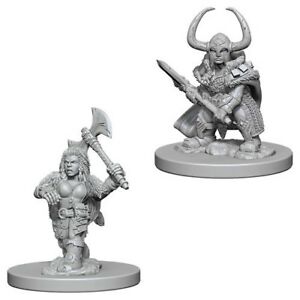WizKids 726457 Nolzur's Female Dwarf Barbarian | Grognard Games