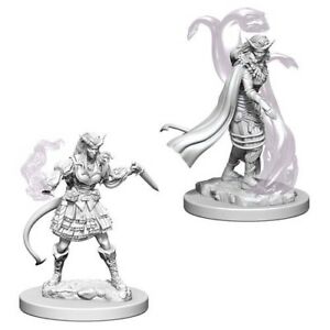 Wizkids 73202 Tiefling Sorceror Female | Grognard Games