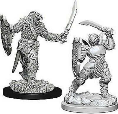 WizKids 73341 FemaleDragonborn Paladin | Grognard Games