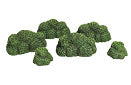 Monster Scenery: Bushes-Verdant Green | Grognard Games