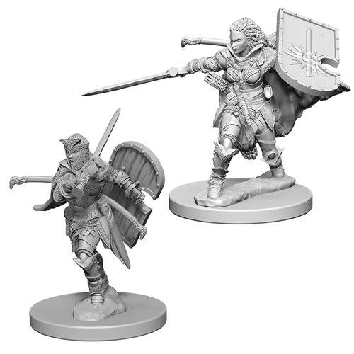 WizKids 726075 Deep Cuts Female Human Paladin | Grognard Games