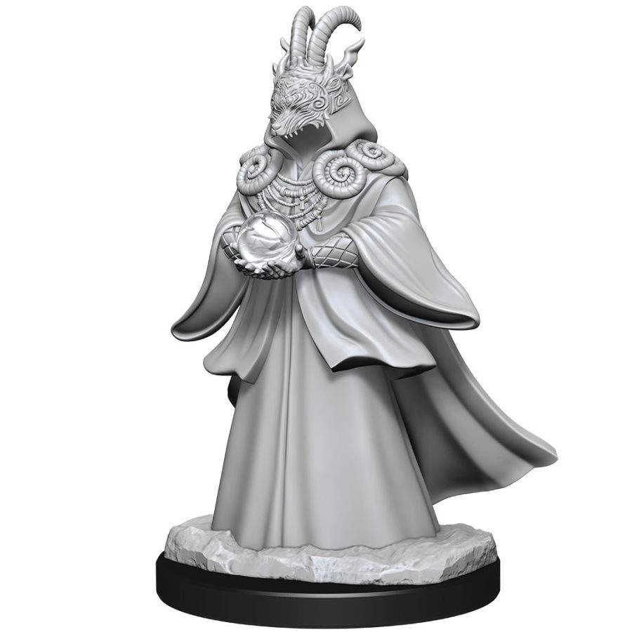 WizKids 902783 Shapeshifters | Grognard Games