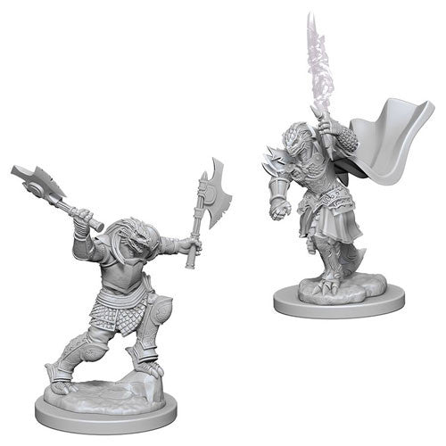 WizKids 731994 Female Dragonborn Fighter | Grognard Games