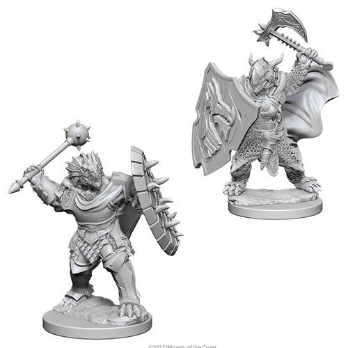 WizKids 73200 Dragonborn Paladin | Grognard Games